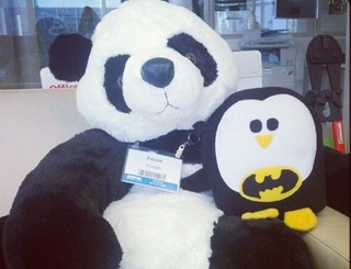 Google Panda Penguin updates